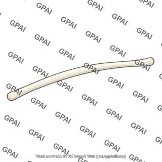 Skeletal rod