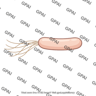 Flagellated bacterium