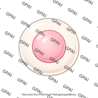 Totipotent cell