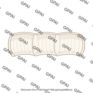 Segmented worm body