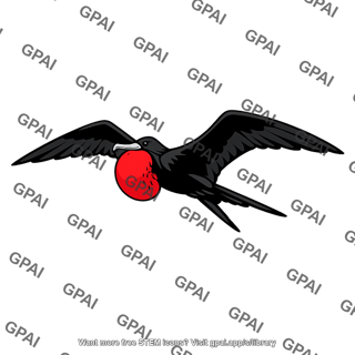 Frigatebird magnificent