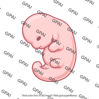 Embryo 5 weeks