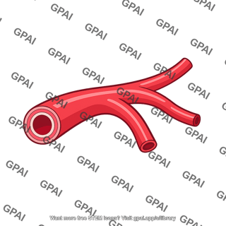 Renal artery