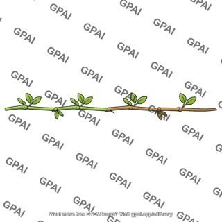 Stem horizontal