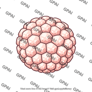 Papillomavirus