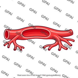 Skin blood vessel dilated