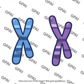Chromosome nonhomologous