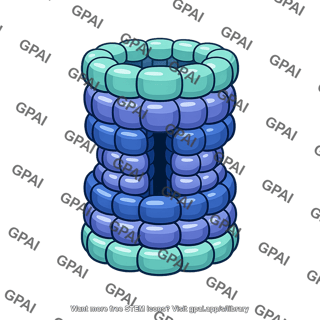 Proteasome