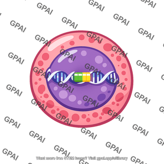 Engineered bone marrow cell