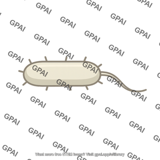 Rod shaped bacterium