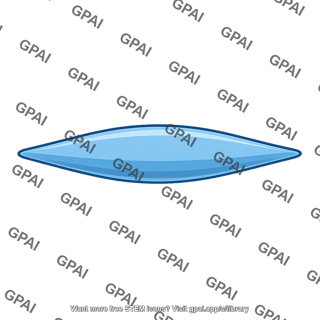 Fusiform body