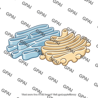 Internal membrane system