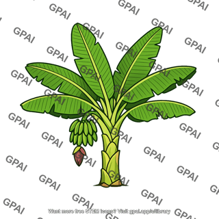 Plantain