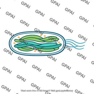 Prokaryote photosynthetic
