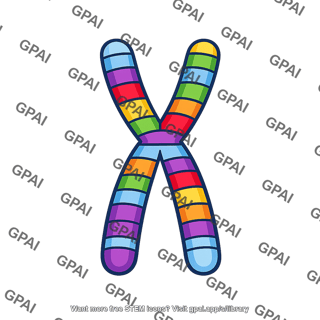 Chromosome rearranged