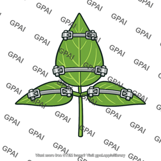 Bean leaf restrained