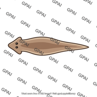 Planarian