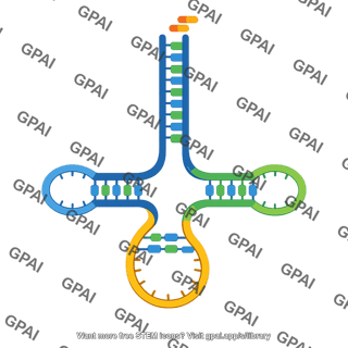 Transfer rna cloverleaf