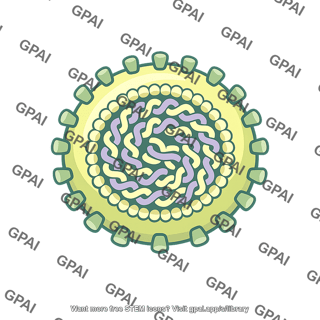 Flavivirus