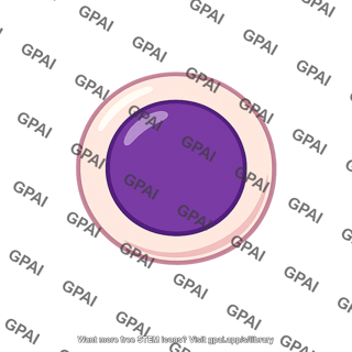 Embryonic stem cell