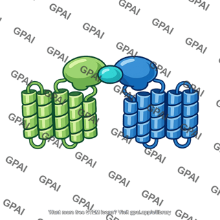 Umami receptor