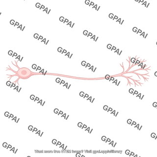 Touch sensitive neuron