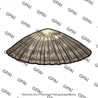 Limpet patella vulgata