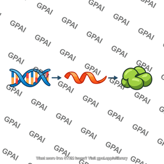 Gene expression dna rna protein