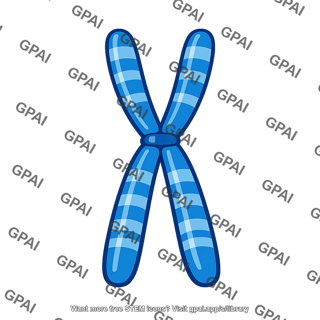 Paternal chromosome