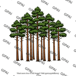 Pine forest