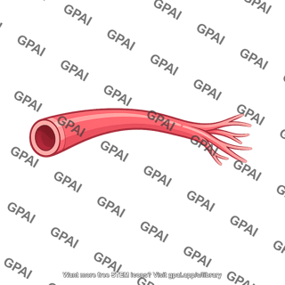 Arteriole