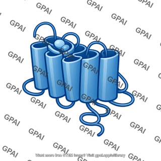 G protein coupled receptor