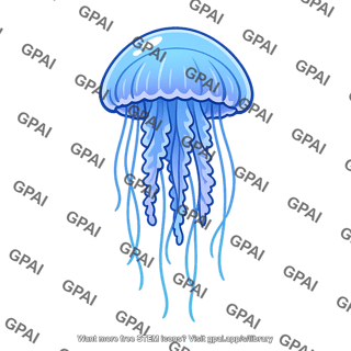 Jellyfish