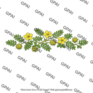 Puncture vine
