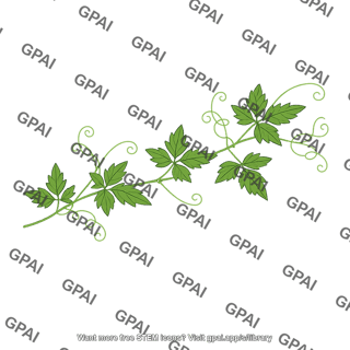 Balloon vine foliage