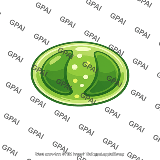 Phytoplankton single cell