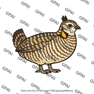 Prairie chicken
