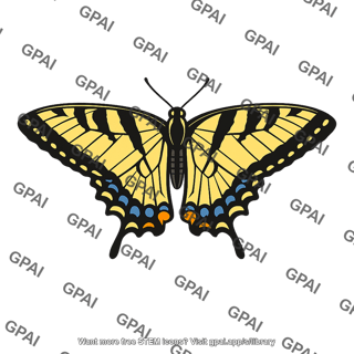 Tiger swallowtail
