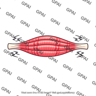 Skeletal muscle shivering