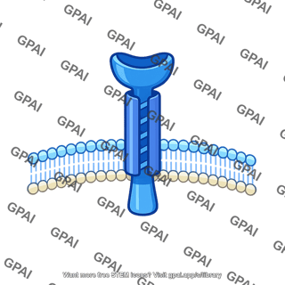 Membrane receptor