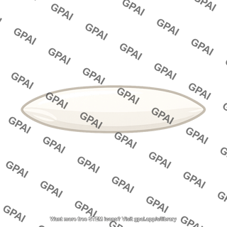 Single rice grain