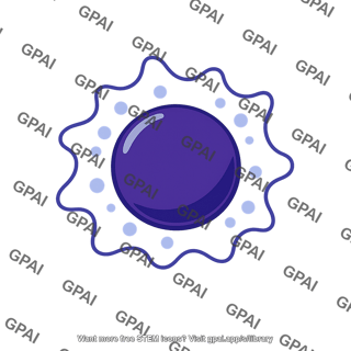 Leukemic cell