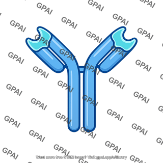 Antibody a