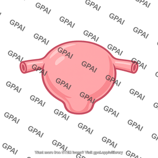 Uterus single