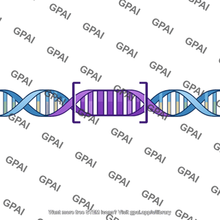 Ccr5 gene