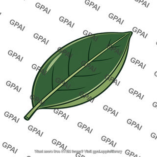 Evergreen leaf