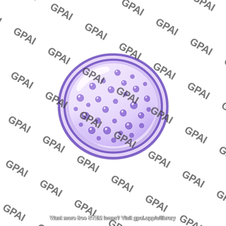 Secretory vesicle