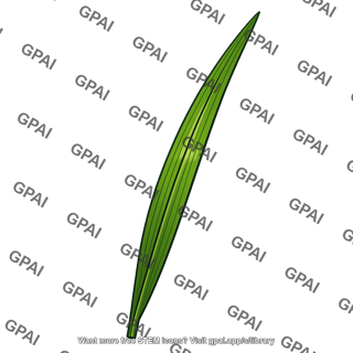 Grass leaf