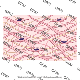 Loose connective tissue