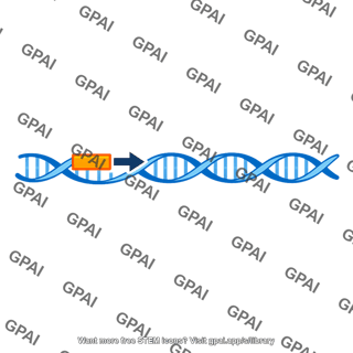 Bacterial promoter